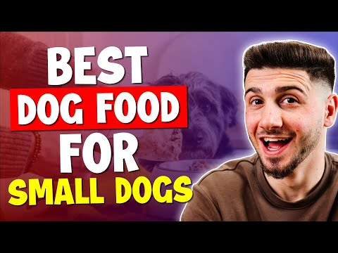 Best Dog Food for Small Dogs