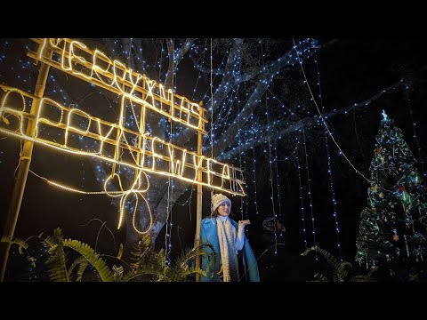 Away in a manger | Mengu Suokhrie | Kohima