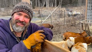 Alaskan winter animal housing done! We finally finished!!