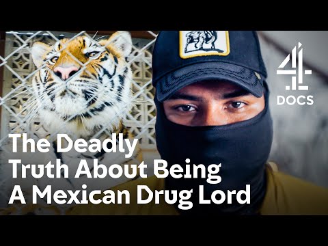 ⭐️ BAFTA NOMINATED ⭐️ | Drugs, Death And Pet Tigers: Cartel Lifestyle Revealed | Kingpin Cribs