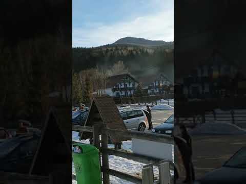 Cazare pensiunea Nedeia Malini