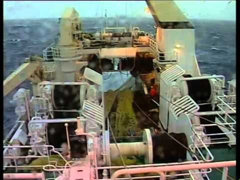 Hunting in Faroese 02 Title 01