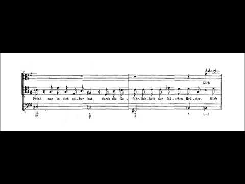 SP's score videos