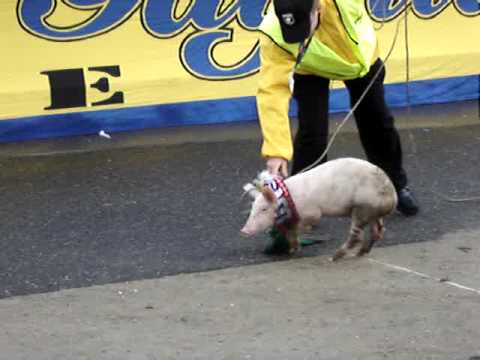 Arka Gdynia - Lechia Gdansk