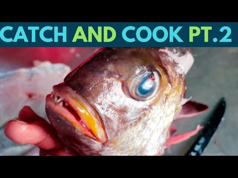 download lagu mp3 mp4 How To Cook Mu Fish, download lagu How To Cook Mu Fish gratis, unduh video klip How To Cook Mu Fish