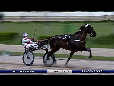 Aversa trotto 29 Marzo 2023 - 6° Corsa