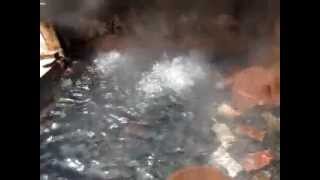preview picture of video 'Hot Springs at Manikaran, near Kullu - Himachal Pradesh'