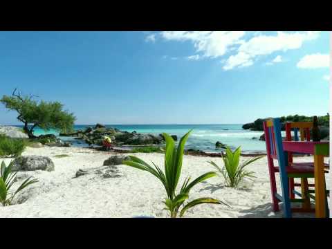Tulum Mexico Beach Shore Sea Palm Trees Vacation No Copyright Video