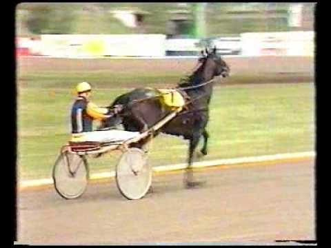 Elitloppet 1975 - The Elimination Heats