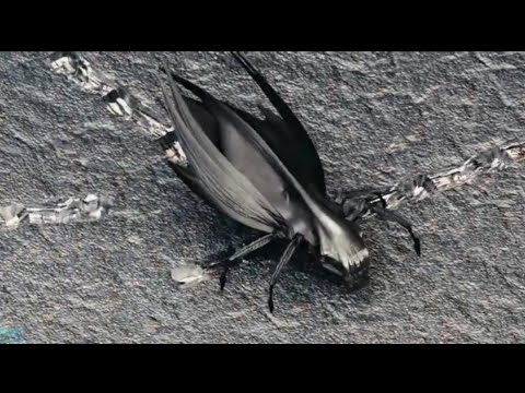 Varun kr MVC and ARUN Edit 04