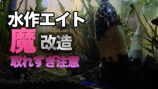 糞がガンガン取れる水作エイト ダストラップの実力と簡単 清掃方法 アクアリウム تنزيل الموسيقى Mp3 مجانا