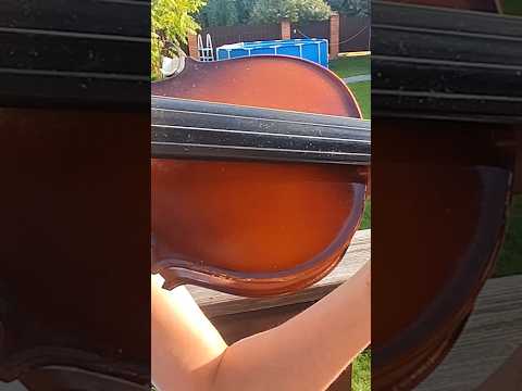 фото скрипка 3/4 0