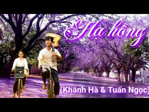 Hạ hồng - Tuấn Ngọc