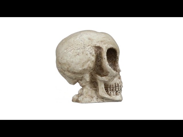 Vídeo relacionado con Genérico Extraterrestrial Alien Figurine - Desk Ornament for Space Enthusiasts | Resin Material with Intricate Sculpting, Ideal for Collectibles, Halloween Decor, or Themed Room Displays