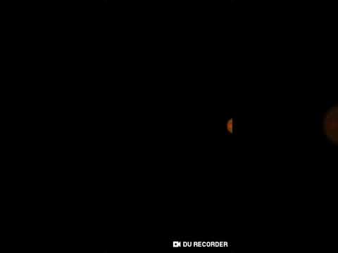 Simon's Cat Pop Time S9 part 25-29(5)