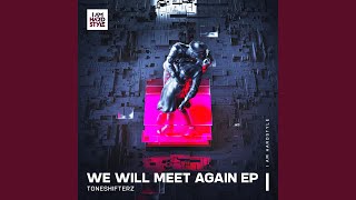 We Will Meet Again (Extended Mix)