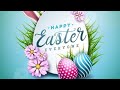 Easter Status Happy Easter Whatsapp Status Happy Easter Easter Whatsapp Video Status