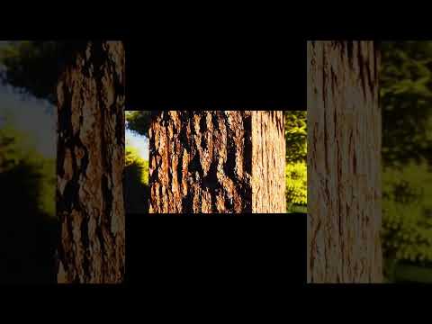 Beyond Reality Minecraft RTX 4090 Shaders Showcase!