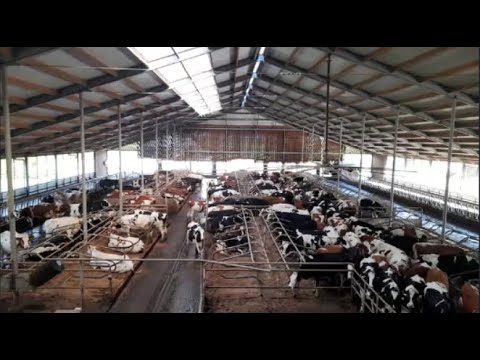 Expeditie de boer op - #11 - Fam Hopman - VVFC de Uithof