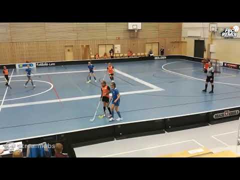 D-tytöt 12:00 BLUE FOX SININEN - FBC REMIX 24.10.2020 Hollihaka
