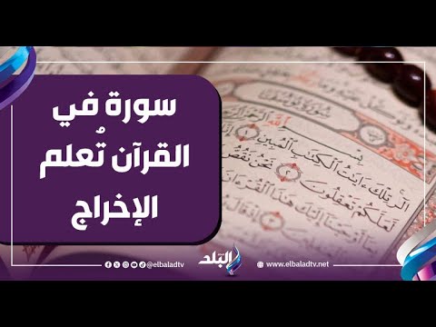 محمد فاضل: الشخص اللي عاوز يتعلم السيناريو لازم يرجع للمصحف الشريف 