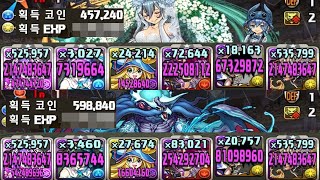 [극한 연마의 투기장] 시뷔니아×환생 여포 pt. (Feat. 웨제라 난입 경험치 비교)