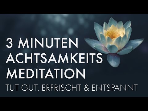 3 Minute Meditation: Perfect for a short break 😌🌿 Also for beginners
