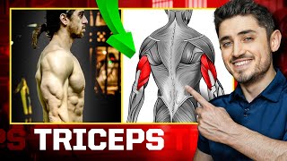 Triceps Kası: İleri Seviye Egzersizler