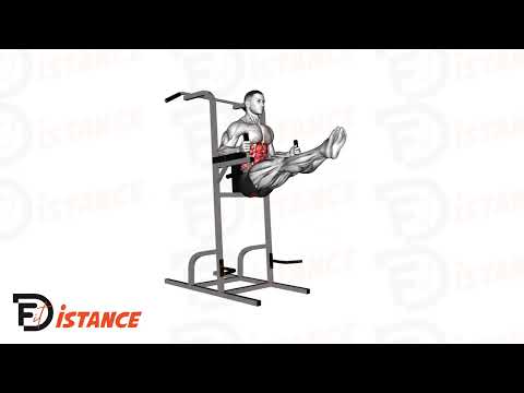 Exercice Levées de jambes suspendues à la chaise romaine