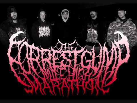 [NEW] best brutal death metal bands III [NEW]