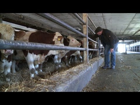 Review of CAP subsidy leave's Europe's farmers fearful