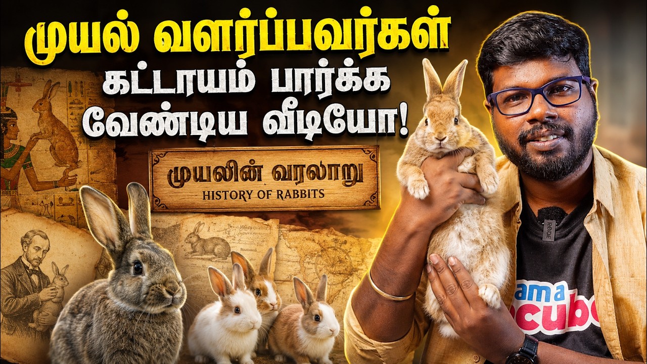 Never Buy a Rabbit Before Watching This! | Ondriya Uirinam #59 | Big Bang Bogan