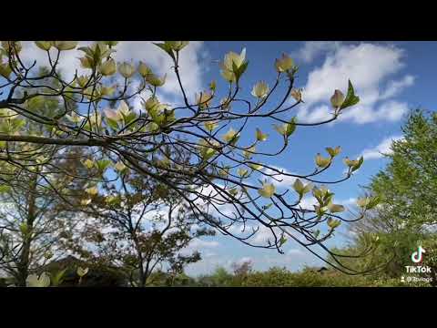 📍🇫🇷 Sunny day with nature in Lille
