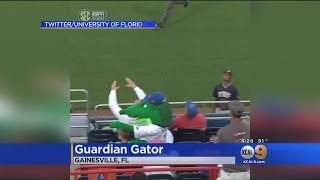 School's Alligator Mascot Saves The Day -- And A Kid -- In The Line Of Errant Softball