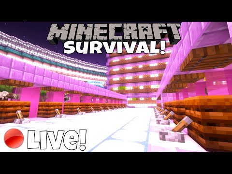 Survival Minecraft Finals Week Facecam Stream!