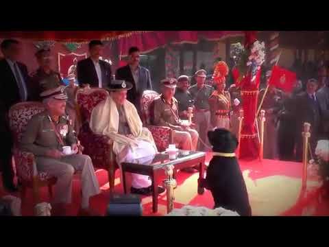 Se the army force and dog relationship 👏👏👏