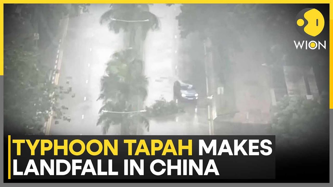 Typhoon Tapah: Rivers in Guangdong and Guangxi at Risk, Waves Upto 4.5 Meters Along the Coast | WION