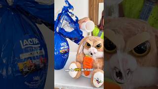 COELHO DO MAL #shorts