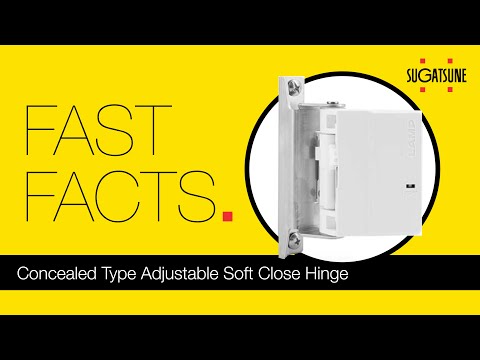 Fast Facts: Concealed Type Adjustable Soft Close Hinge with Self Close Function HG-JV65-U