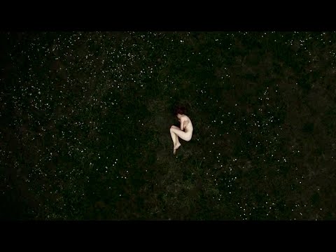 Hoenix - Inner Storm (Official Music Video)