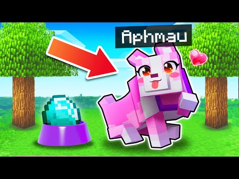 Aphmau - Playing Minecraft As The SECRET Girl Wolf!