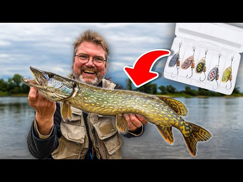 Blinker richtig führen Video Vorschau