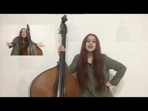 Abbasso il Contrabbasso - Sofia Bianchi (Double bass and Voice cover)