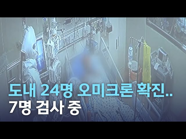 도내 24명 오미크론 확진..7명 검사 중(