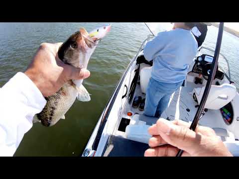 First Time Fishing In Lake Nacimento California June 8, 2021