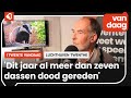 Doet de das de festivals op het vliegveld de das om?