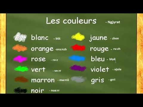 MESONI 19/32  -  NGJYRAT NE FRENGJISHT - LES COULERUS EN FRANCAIS