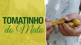 Miniatura do vídeo