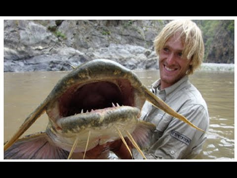 Fish Warrior - Nile Mammoth | Big Fish Species / (Nat Geo)