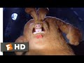 Wallace Gromit The Curse Of The Were Rabbit 2005 Wallace Transforms Scene 5 10 Movieclips